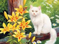 Color Kit KS016 KS016/Сельская идилия  - раскраски по номерам на картоне