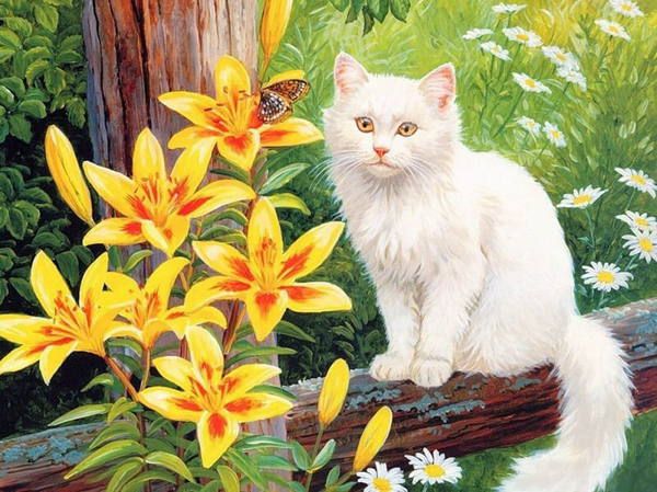 Color Kit KS016 KS016/Сельская идилия  - раскраски по номерам на картоне