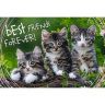 Trefl 13215 Пазлы «Дружные котята», 260 деталей