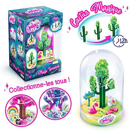Canal Toys MSG002 Магический сад So Magic Diy Волшебный террариум Desert