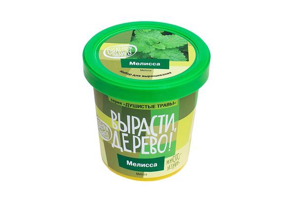 Набор для выращивания растений "Мелисса"