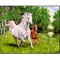 Рыжий кот Q013 Холст с красками 40х50 см по номерам. ЛОШАДЬ И ЖЕРЕБЁНОК