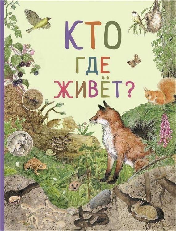 РОСМЭН 33697 Книга Удивительный мир животных Кто где живет?