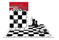 Рыжий Кот ИН-0159 Игра настольная Шахматы и шашки классические