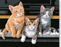 Рыжий кот Х-7789 Холст с красками 30х40 см по номерам. ТРИ КОТЕНКА
