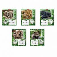 ErichKrause 48832ЕК Тетрадь ErichKrause Baby Jungle школьная ученическая 12 листов, клетка