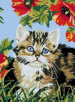 Раскраски по номерам. Картина Котенок в цветах, 30*40 см