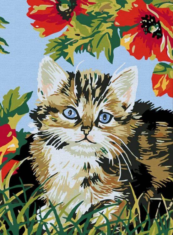 Раскраски по номерам. Картина Котенок в цветах, 30*40 см