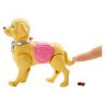 Mattel DWJ68 Barbie Кукла Барби Набор "Семья Barbie" Прогулка с питомцем 