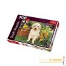 37160-0-pazl-labrador-v-sadu-500-detaley-360.jpg