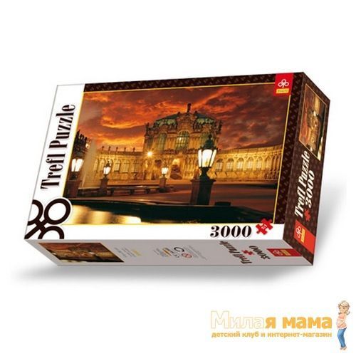 Пазлы 3000 дет. - Цвингер, Дрезден