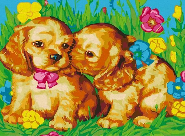 Раскраски по номерам. Картина Щенки на поляне, 30*40 см