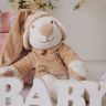 Drema BabyDou 111D Собачка бежевая для засыпания малыша, с белым и розовым шумом