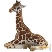 Фигурка Детеныш жирафа, 6,5 см