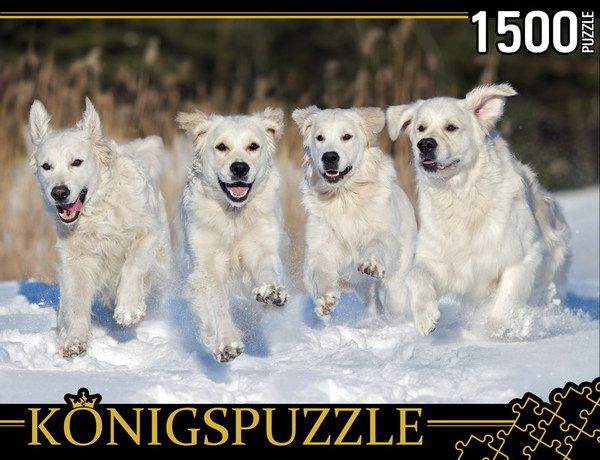 Konigspuzzle ГИК1500-8476 Пазл Щенки золотистого ретривера, 1500 элементов
