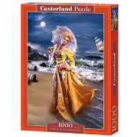 Пазл Castorland 1000 деталей, Прогулка при луне 68*47 см