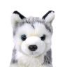Teddykompaniet 7111 Мягкая игрушка Щенок Хаски, лежащий, 26 см