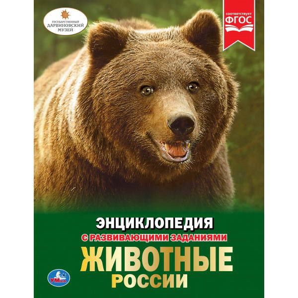 УМка 978-5-506-02826-0 Энциклопедия с развивающими заданиями Животные России