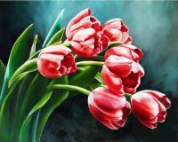 Color Kit CG867 CG867/Букет тюльпанов-картина по номерам
