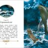 РОСМЭН 35974 Книга Читаю хорошо Барон Мюнхгаузен