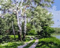 Раскраски по номерам. Белая береза 40*50 см
