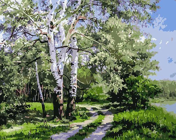 Раскраски по номерам. Белая береза 40*50 см