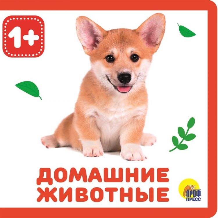 Проф-Пресс 28831-1 Книжка на пене. Домашние животные