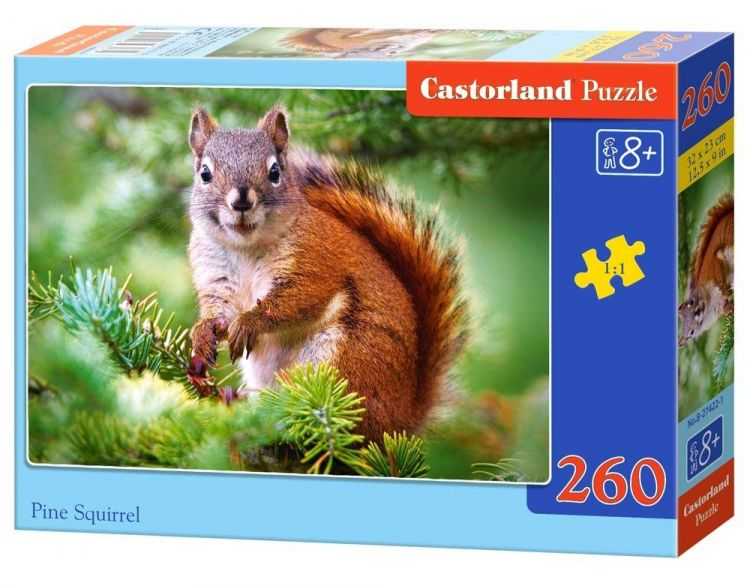 Castorland B-27422 Пазл Белка,  260 деталей