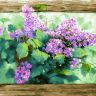 Белоснежка 268-AS Раскраски по номерам Любимая сирень, 30*40 см