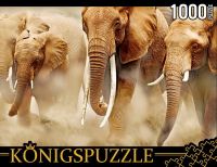 Konigspuzzle КБК1000-6464 Пазл Стадо слонов, 1000 элементов