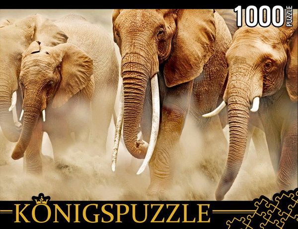 Konigspuzzle КБК1000-6464 Пазл Стадо слонов, 1000 элементов
