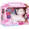 43025_cat_pack.jpg