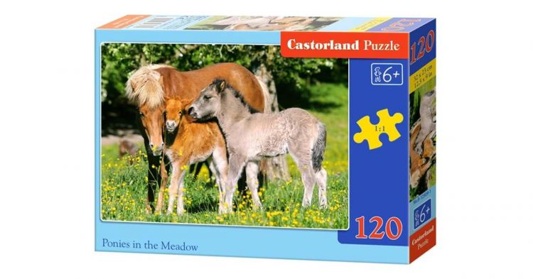 Castorland C120-12619 Пазл Лошадки, 120 деталей