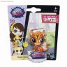 LPS_B2165_chad_chalmers_pack.jpg