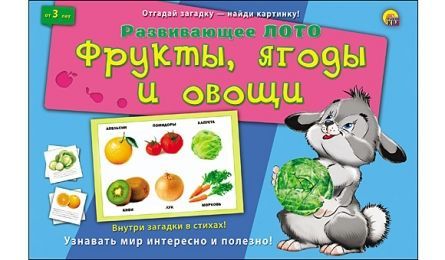 Рыжий кот ИН-8142 Лото с загадками Фрукты, ягоды и овощи