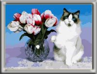 Color Kit CE124 CE124/Нежное,пушистое - картина по номерам