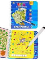 Рыжий кот ИН-3951 Развивающая игра Рыжий кот Игры с маркером Лабиринты