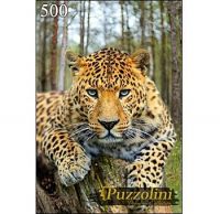 Puzzolini 7666 Пазл Большой леопард, 500 элементов