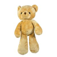 Teddykompaniet 2529 Мягкая игрушка Медвежонок Эллиот, 27 см