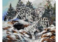 Раскраски по номерам Ирбисы 30*40 см