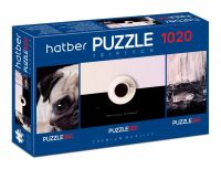 Hatber 1020ПЗ2-20931 Пазлы Hatber Premium TRIPTYCH Эклектика 260+500+260 элементов