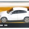 BMW_X6_2uv.jpg