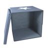 Store It 672203 Контейнер для хранения с крышкой Серый со звездой, 33х33х33 см