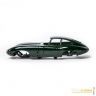 18-15024-jaguar-1.jpg