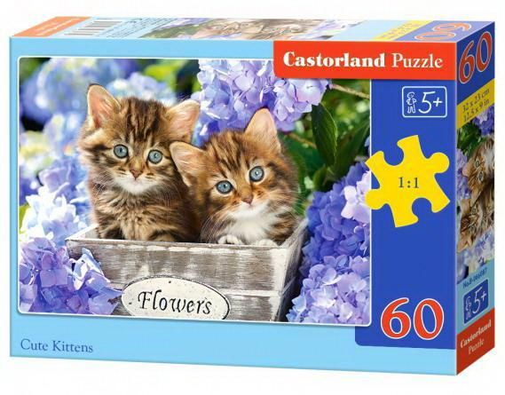 Castorland В-066087 Пазл Castorland MIDI 60 деталей Милые котята