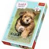 Trefl 16265 Пазл Сладкие и прекрасные, Лето, 100 деталей