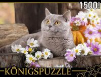 Konigspuzzle ГИК1500-8478 Пазл Британский кот, 1500 элементов