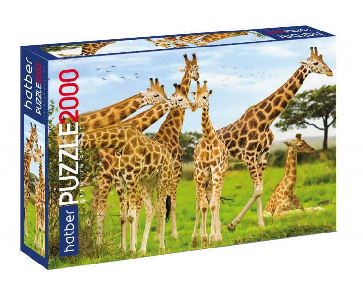 Hatber 2000ПЗ1-19321 Пазл Hatber Premium Жирафы 2000 элементов, 960х680мм