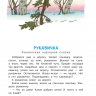 Издательство АСТ 117630-3 Книга Зимние сказки