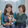 Hasbro B9070 FurRealFrends Говорящий щенок Чарли